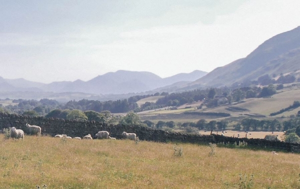 Locally led inquiry report: Cumbria - Gap analysis for Cumbrian upland farming initiatives post-Brexit