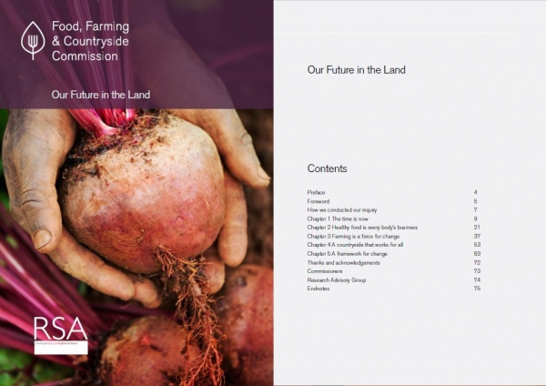 Final Report – Our Future in the Land