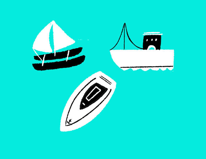 Flotilla of boats
