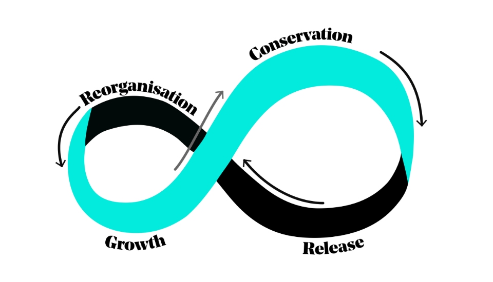 The adaptive cycle. A horizontal infinity symbol in teal and black. The infinity symbol starts from the left curving downwards then up then down forming half of the symbol in the colour teal. The first U curve is titled growth and as the line continues to form the second upside down U it is called conservation. The line becomes black to turn back on itself to form a U titled release before curving to form an upside down U titled reorganisation that rejoins where the line first began. The model symbolises the dynamic nature of complex systems. It consists of four “phases” where the system acts in a distinct way to structure, collapse, or reorganise itself.