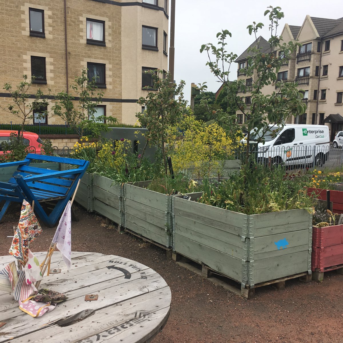 Community garden project in a disused car park