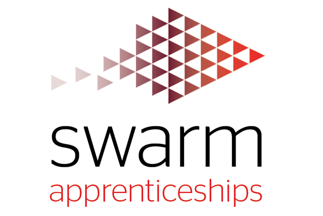 Swarm Apprenticeships