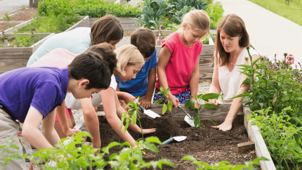 A group of children and a woman are gardening together in raised garden beds. The kids use small shovels to plant seedlings, while the woman guides them. The scene is filled with green plants, and everyone appears engaged and focused.