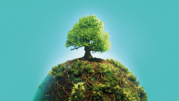 A small tree grows atop a spherical mound covered in greenery and vines, set against a solid teal background, symbolizing environmental harmony and growth.