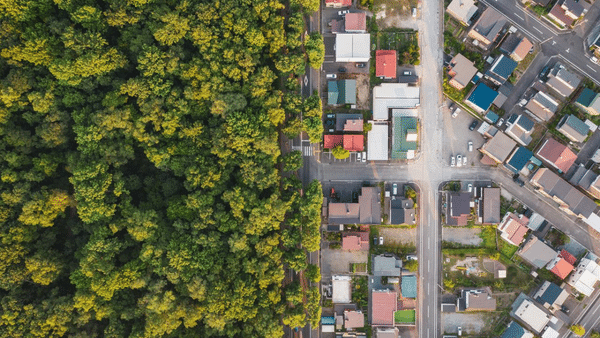 Aerial view showing a stark contrast between a dense forest on the left and a residential neighborhood on the right. The two areas are divided by a straight road with houses arranged neatly along the streets.