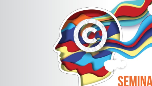 Illustration of a human head profile filled with colorful, wavy patterns and a copyright symbol at the center. The background is light, and multicolored waves extend from the head. The word "SEMINA" is partially visible.