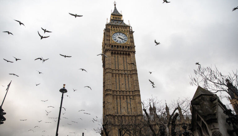 Big Ben tower against a cloudy sky, surrounded by a flock of birds. The clock face is visible, showing the time. Leafless trees and lamp posts are in the foreground.