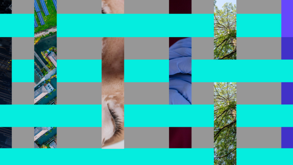 A collage composed of vertical and horizontal strips showing partial images, including a cityscape, a close-up of a face, hands wearing gloves, and tree branches. The strips are interspersed with bright turquoise bars.