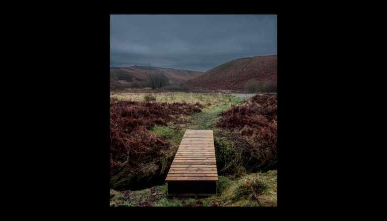 A wooden footbridge spans across a small, grassy ditch in a moorland landscape. Brown ferns and tufts of grass surround the bridge. Rolling hills are visible under a cloudy, dark sky in the background.