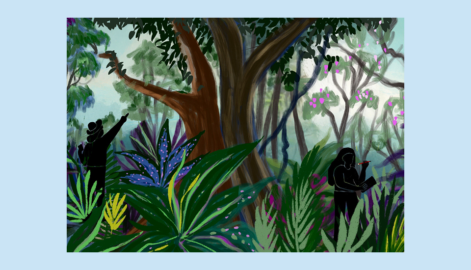 Illustration of two silhouetted figures exploring a lush forest. One points at a tree, and the other holds a small object. Surrounding them are large green leaves, with light filtering through the dense canopy above.