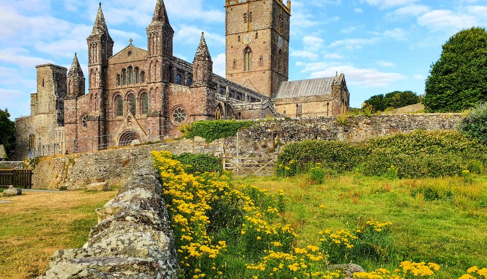Medieval-style cathedral with pointed towers and a tall clock tower, set against a blue sky. A stone wall and path lead to it, bordered by a field of bright yellow flowers and green shrubs. Trees frame the scene.