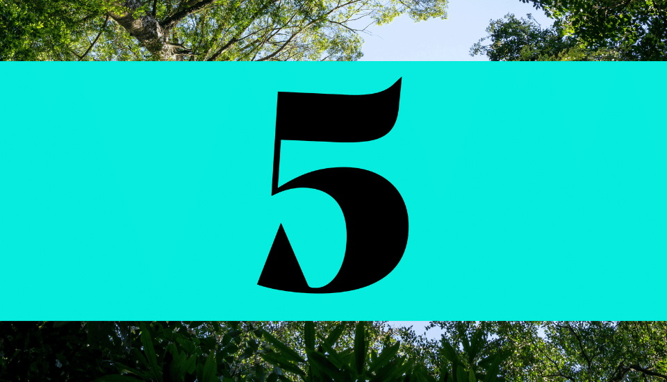 Student Design Awards 2024 brief five - Made natural