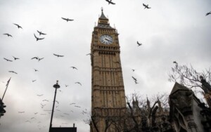 Big Ben clock tower in London under a cloudy sky, with numerous birds flying around. Bare tree branches are visible in the foreground, adding to the moody atmosphere.