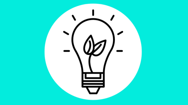 A black and white outline of a light bulb containing a sprouting plant inside, set against a turquoise background. The light bulb is encircled by a white border, and lines radiate outward, symbolizing light or energy.