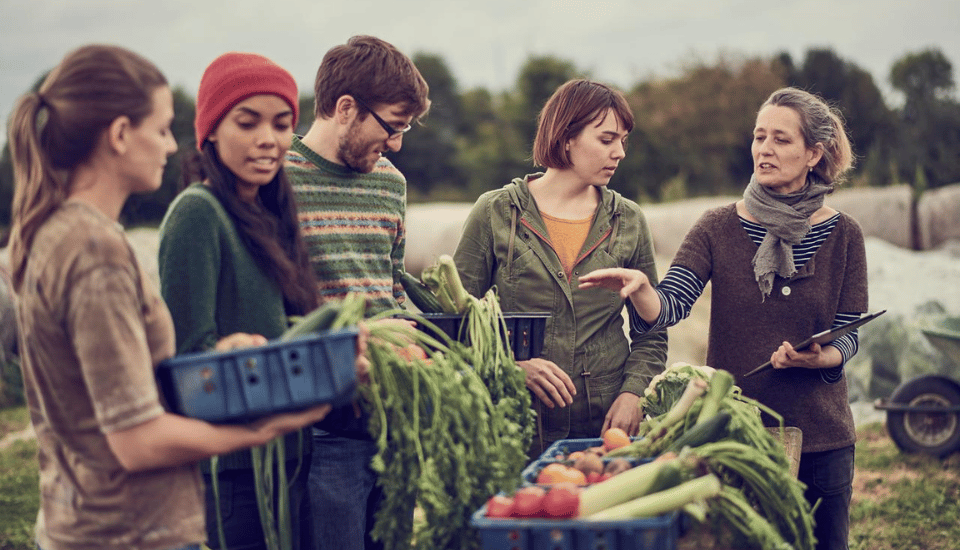 A group of people gathered outdoors, discussing and sorting fresh vegetables. They are dressed warmly, with sweaters and jackets, and appear to be engaged in a conversation about produce on a rural farm setting.