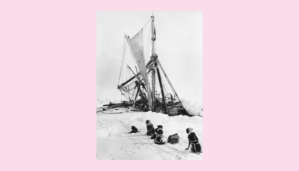 A historic photograph shows a ship trapped in ice, surrounded by snow. Several dogs sit in the foreground, looking towards the ship, Endurance. The scene is set against a pale pink background.