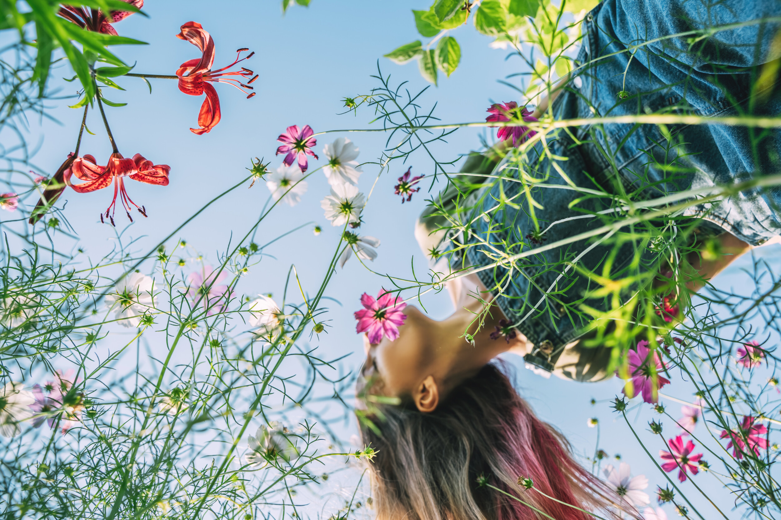 Low-angle shot of a person with long hair lying in a field of wildflowers, looking up at the sky. Vibrant red and pink flowers surround them, with green foliage and a clear blue sky in the background.