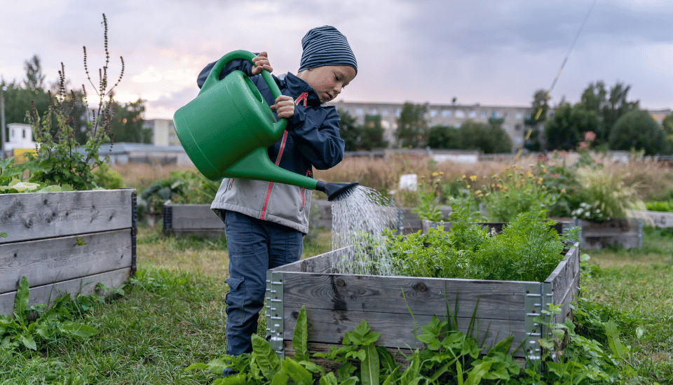 A young child wearing a striped beanie and jacket waters plants in a raised garden bed with a large green watering can, surrounded by greenery in an outdoor garden area.