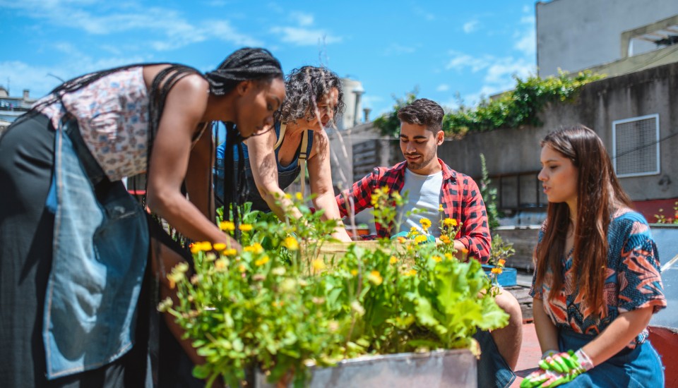 A community connects outdoors, surrounded by vibrant plants.