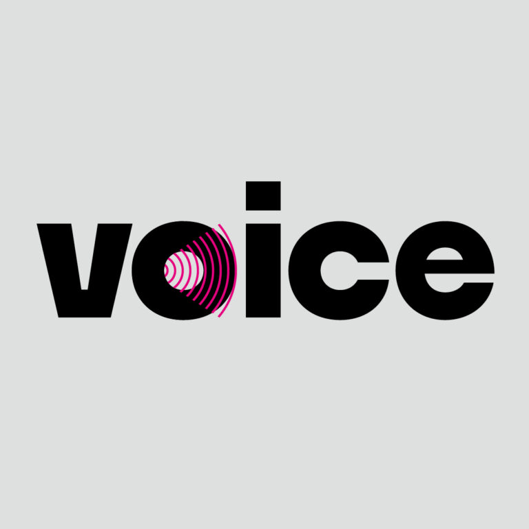 The word "voice" in bold black letters with the "o" replaced by a pink sound wave icon on a light gray background.