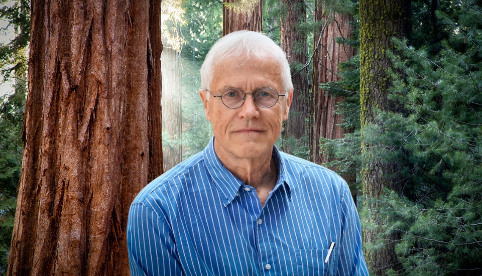 An older man with short white hair, glasses, and a blue striped shirt stands in front of tall trees in a forest, with sunlight filtering through the branches.