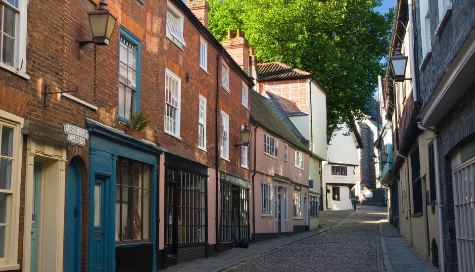 A narrow, cobblestone street lined with historic brick and pastel-colored buildings, some with large windows, under a leafy green tree and clear sky. The street gently slopes upward in the background.
