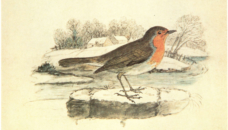 A drawing of a European robin with a red breast standing on a snowy patch, with a wintry landscape of bare trees, a river, and houses in the background.