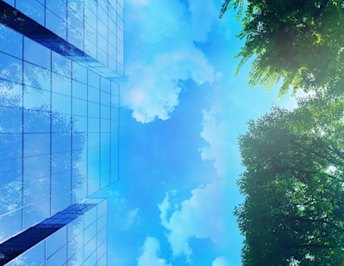 Looking up at a blue sky with scattered clouds, framed by modern glass buildings on the left and tall, leafy green trees on the right—a perfect scene for a sustainability event inspired by the UN Sustainable Development Goals.