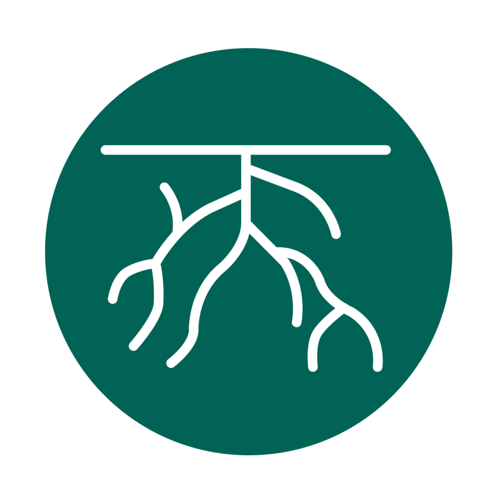 A white outline of tree roots extends downward from a horizontal line, centered in a dark green circle on a light background.