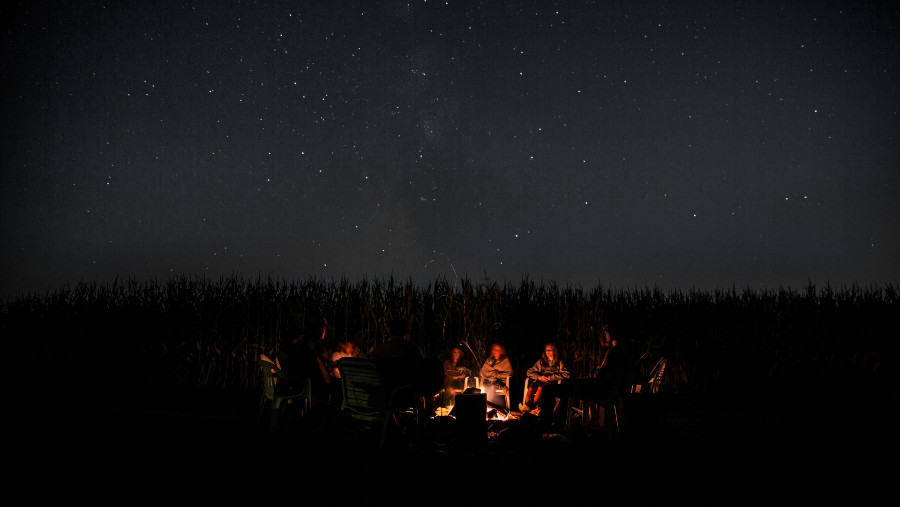 A group of people connect around a campfire at night, surrounded by tall grass or crops under a clear, starry sky. The firelight softly illuminates their faces, creating a warm sense of community in the peaceful darkness.